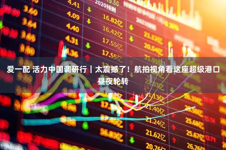 爱一配 活力中国调研行｜太震撼了！航拍视角看这座超级港口昼夜轮转