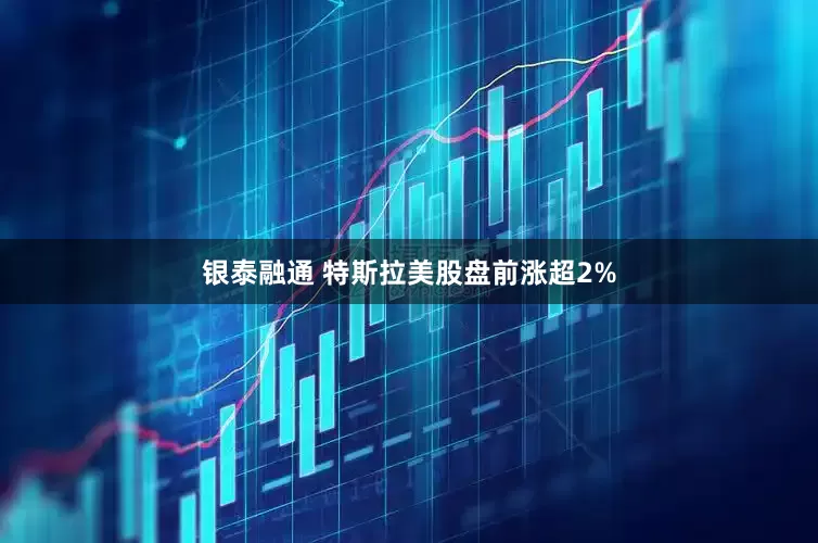 银泰融通 特斯拉美股盘前涨超2%